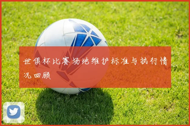 世俱杯比赛场地维护标准与执行情况回顾