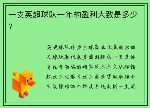 一支英超球队一年的盈利大致是多少？